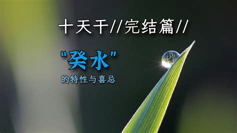 癸水 壬水|壬癸水区别 为什么壬水和癸水合作最好